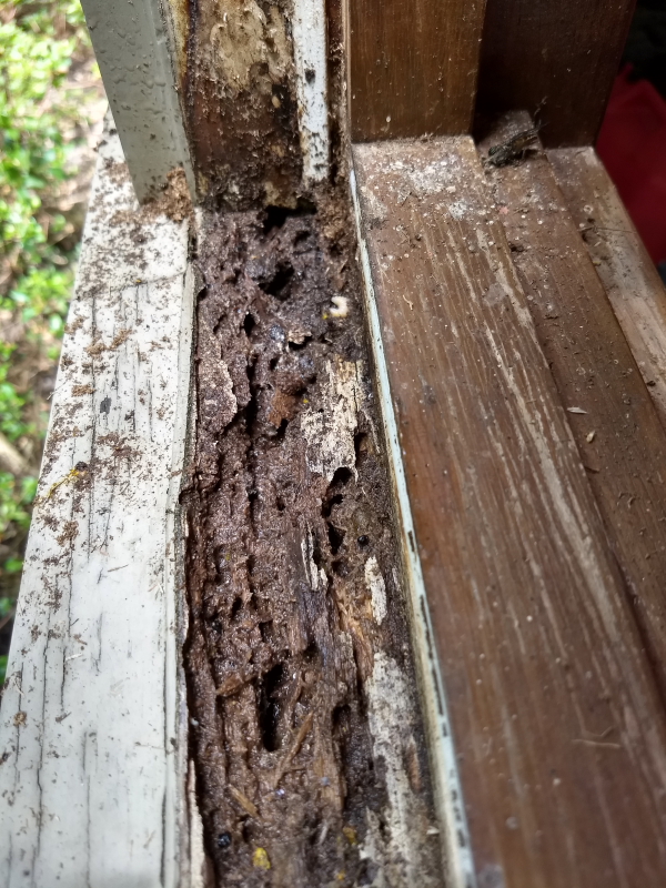 Rotted sill.JPG